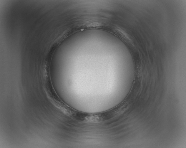 X0000073990362200609061004