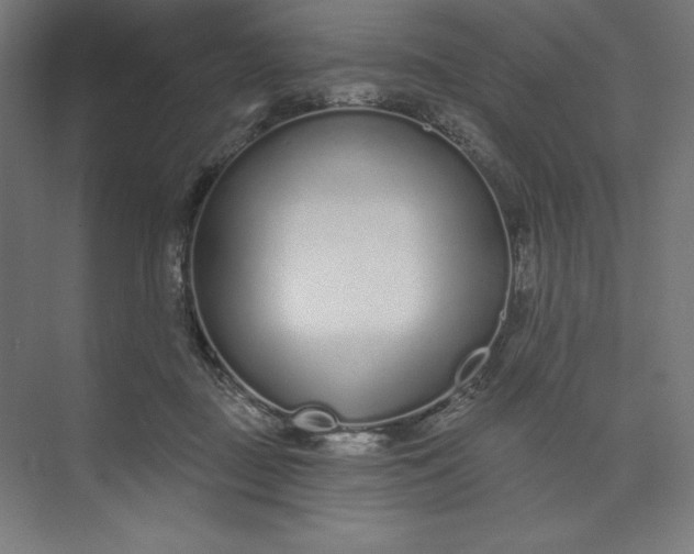 X0000073990363200609061004