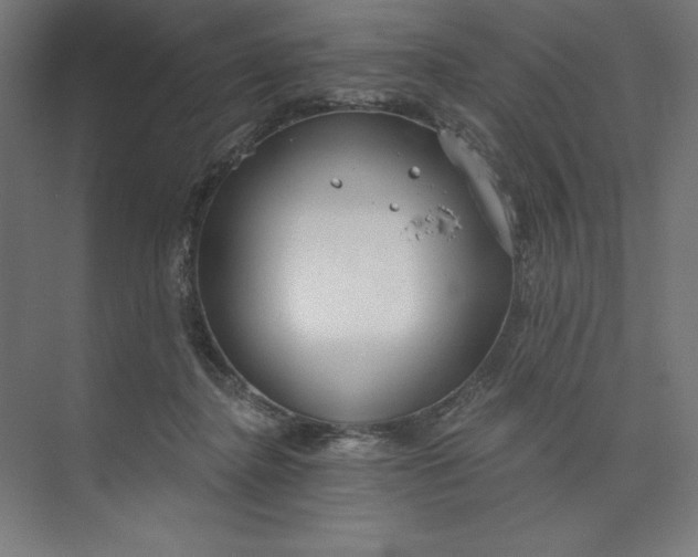 X0000073990364200609061004