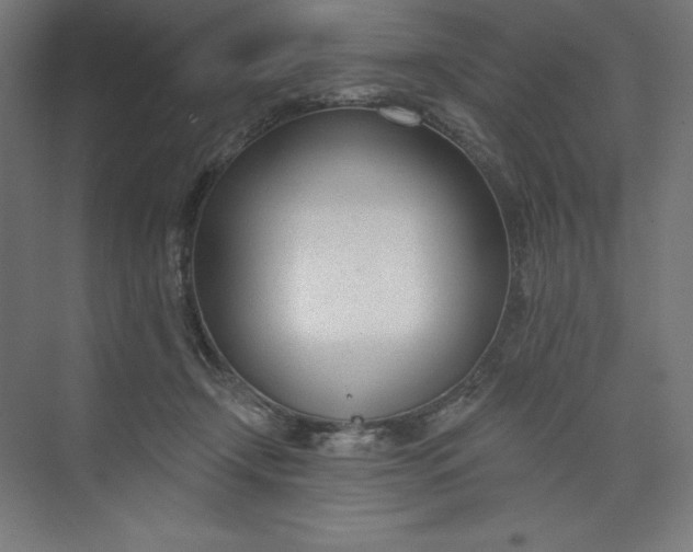 X0000073990366200609061004