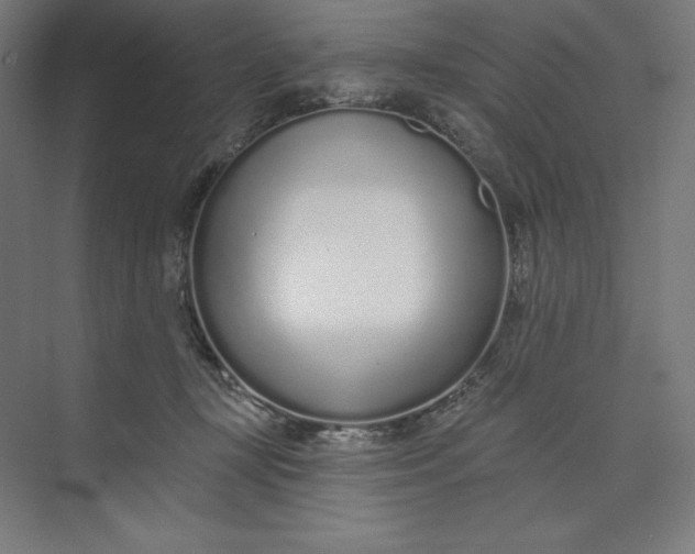 X0000073990367200609061004