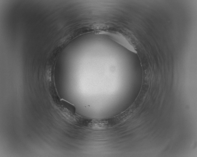 X0000073990368200609061004