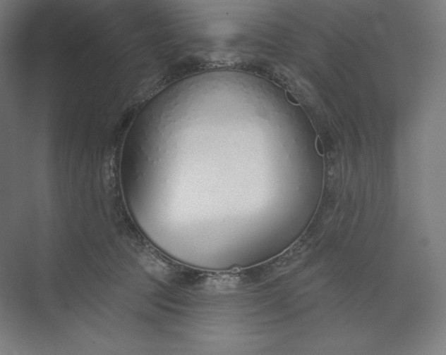 X0000073990369200609061004