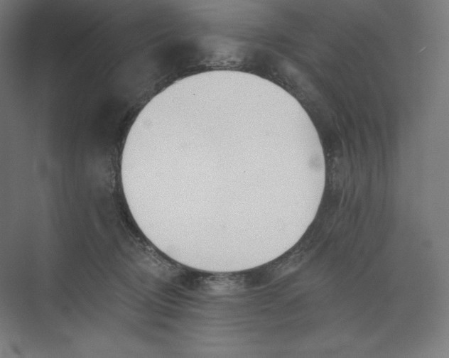 X0000073990370200609061004