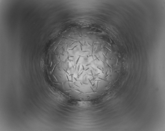 X0000073990371200609061004