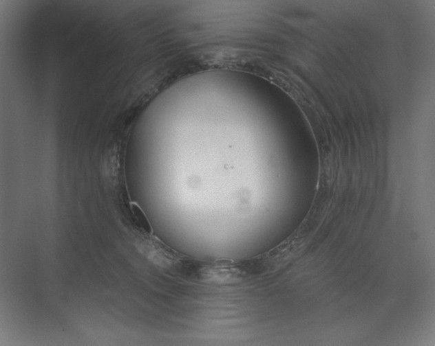 X0000073990372200609061004