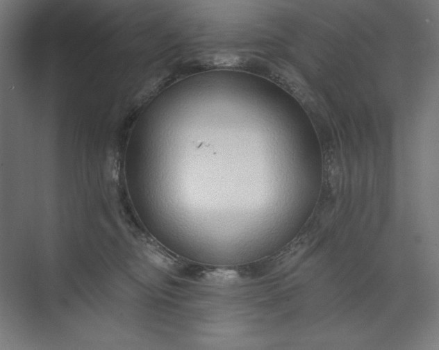 X0000073990374200609061004