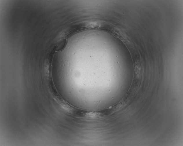 X0000073990375200609061004