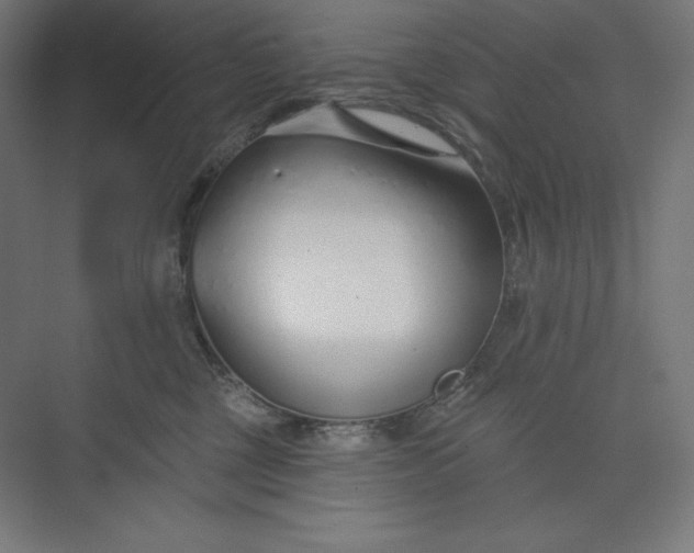 X0000073990377200609061004