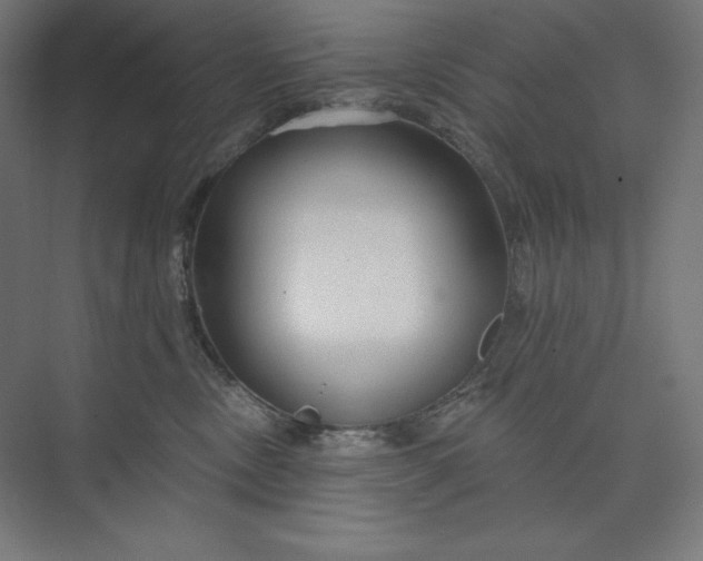 X0000073990378200609061004