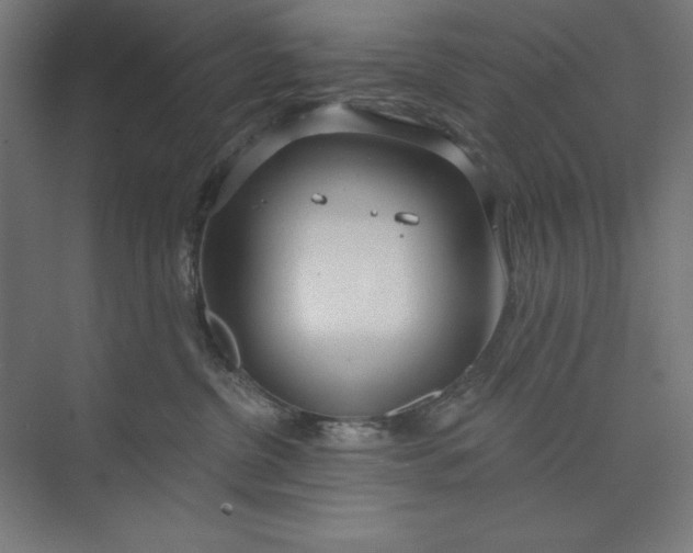 X0000073990380200609061004