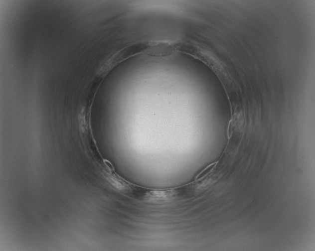 X0000073990381200609061004