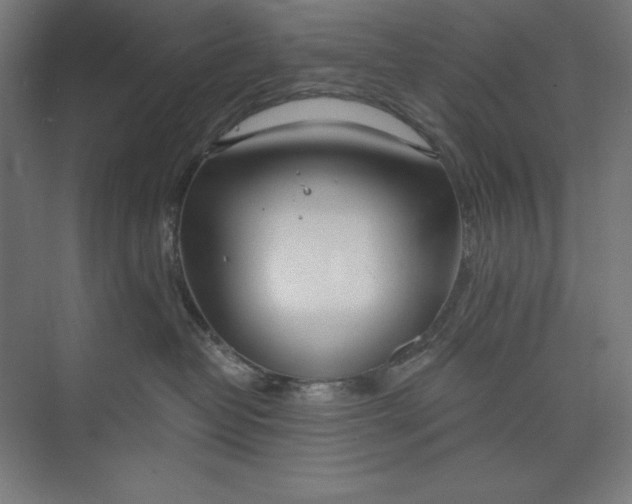 X0000073990382200609061004