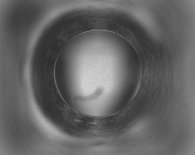 X0000073990383200609061004