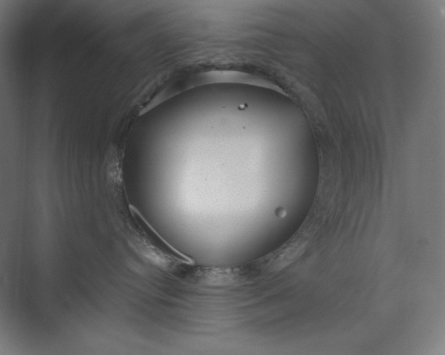 X0000073990384200609061004