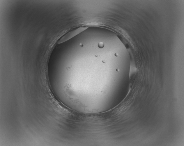 X0000073990385200609061003