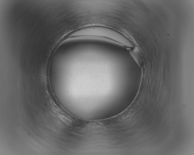 X0000073990386200609061003