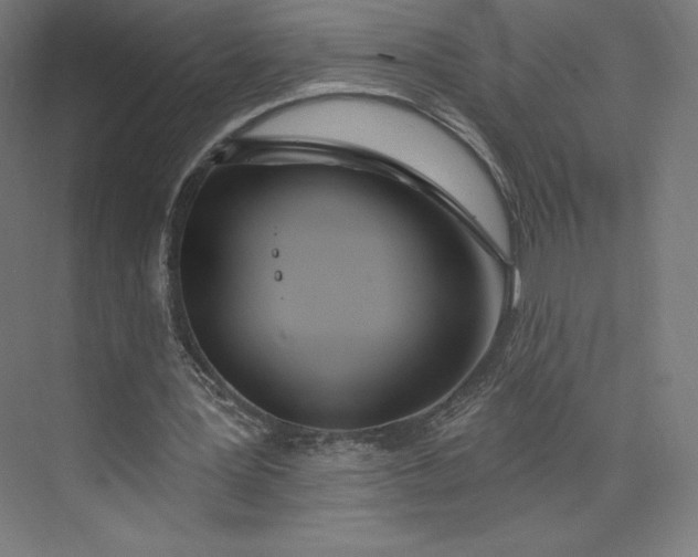 X0000073990387200609061003