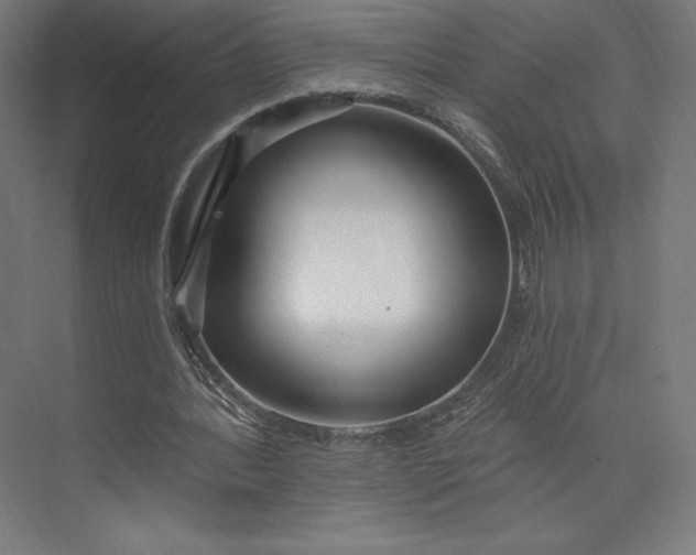 X0000073990388200609061003