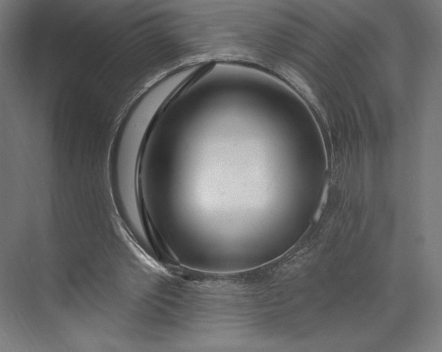 X0000073990389200609061003