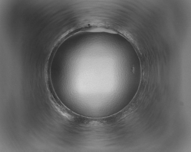 X0000073990390200609061003