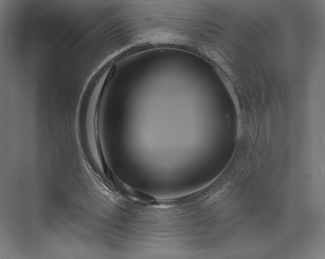 X0000073990391200609061003