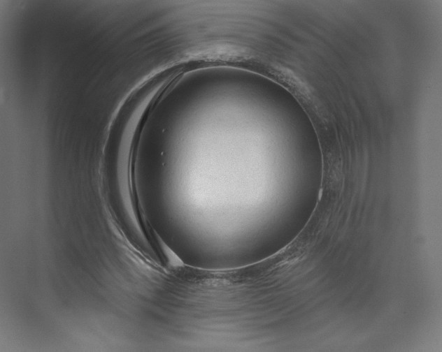 X0000073990392200609061003