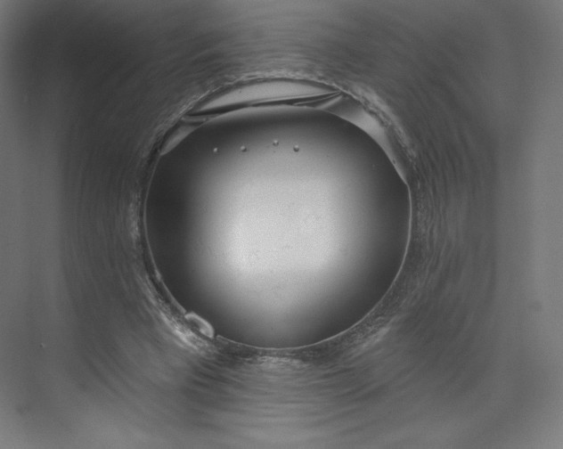 X0000073990393200609061003