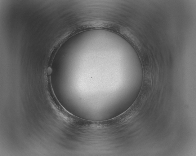 X0000073990394200609061003