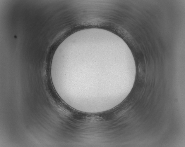 X0000073990396200609061003