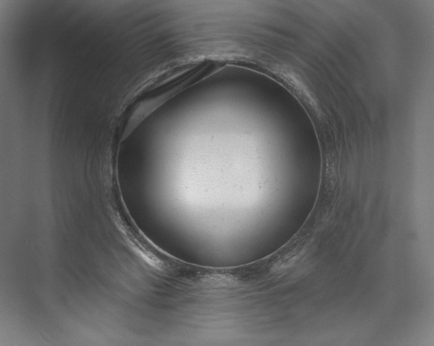 X0000073990397200609061003