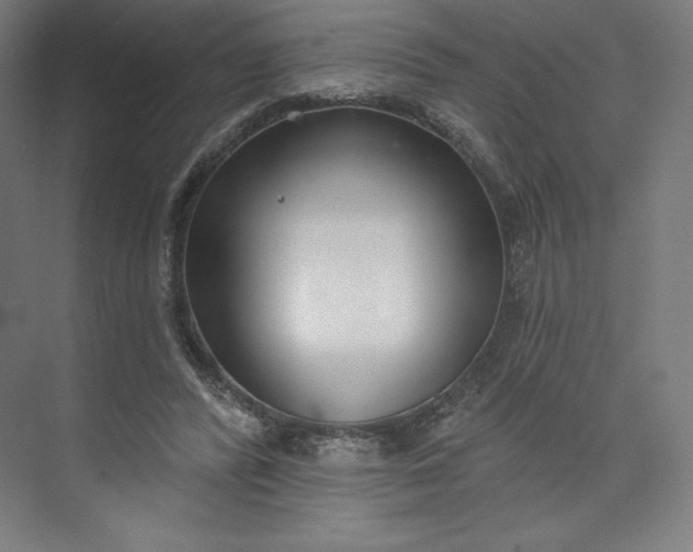 X0000073990400200609061003