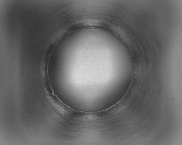 X0000073990402200609061003