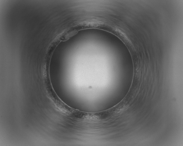 X0000073990403200609061003