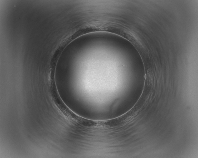 X0000073990404200609061003