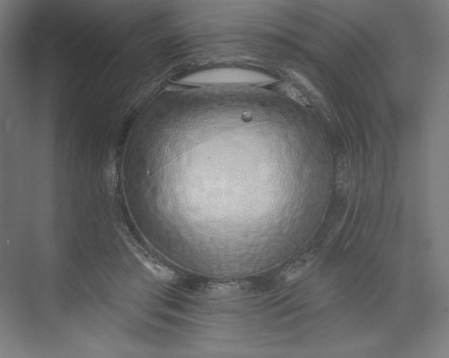 X0000073990405200609061003