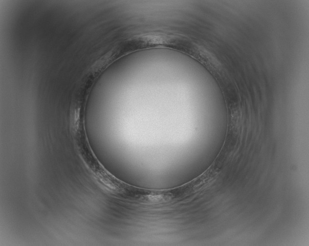 X0000073990406200609061003