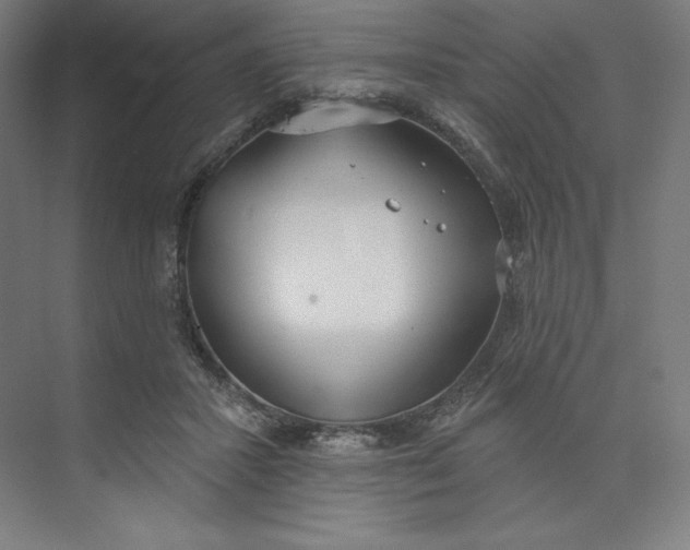 X0000073990407200609061003