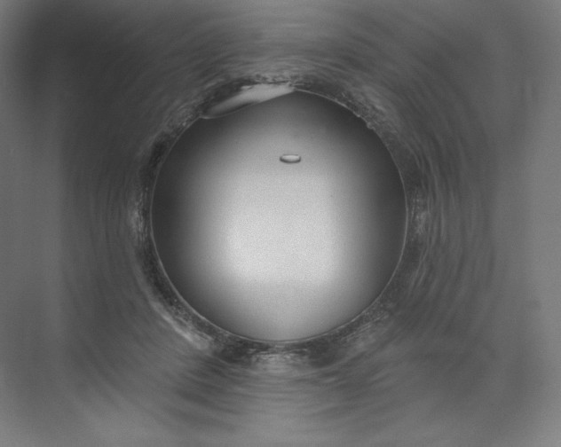 X0000073990408200609061003