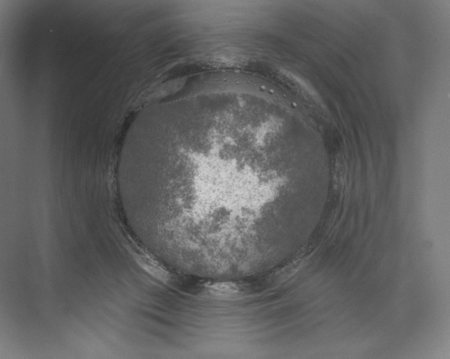 X0000073990409200609061003