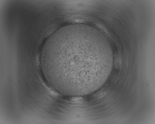 X0000073990410200609061003