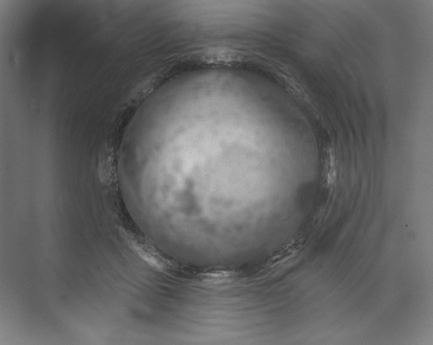 X0000073990411200609061003