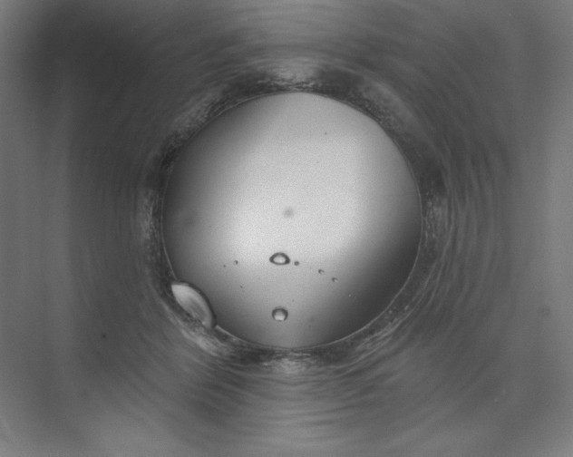 X0000073990412200609061003