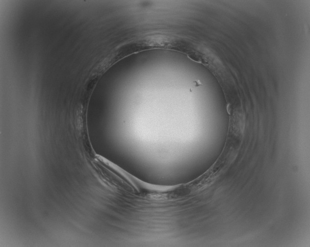 X0000073990413200609061003