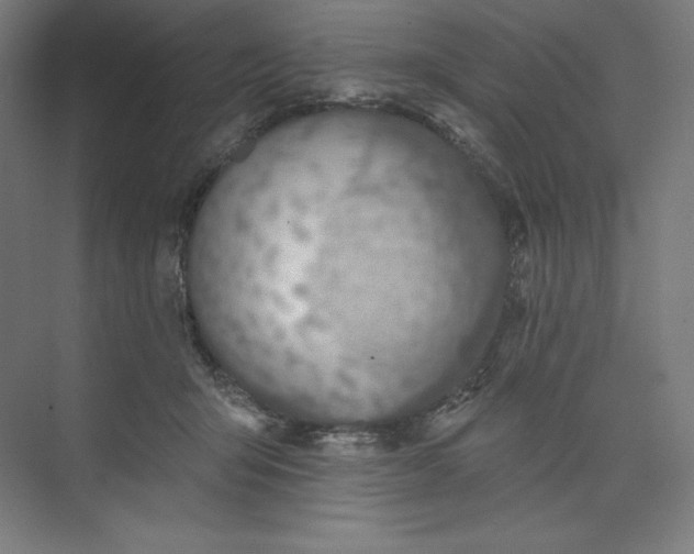 X0000073990415200609061003