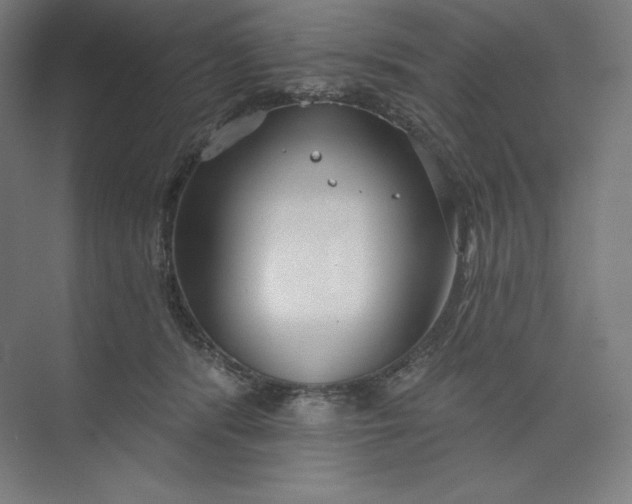 X0000073990416200609061003