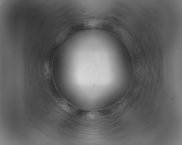 X0000073990420200609061003