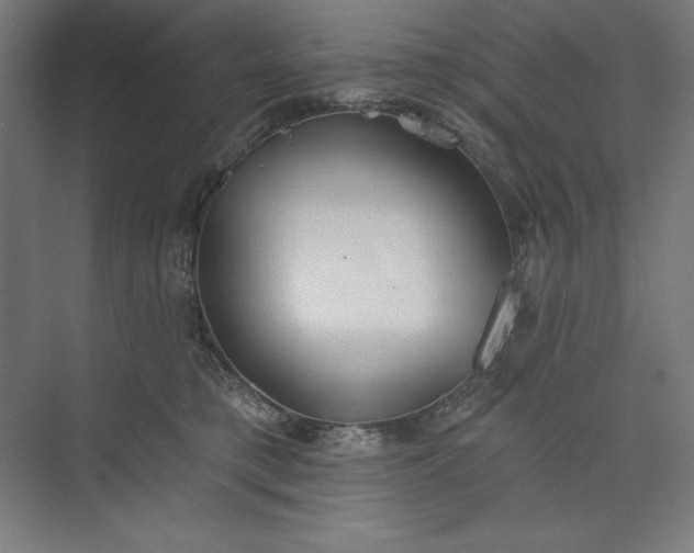 X0000073990421200609061003