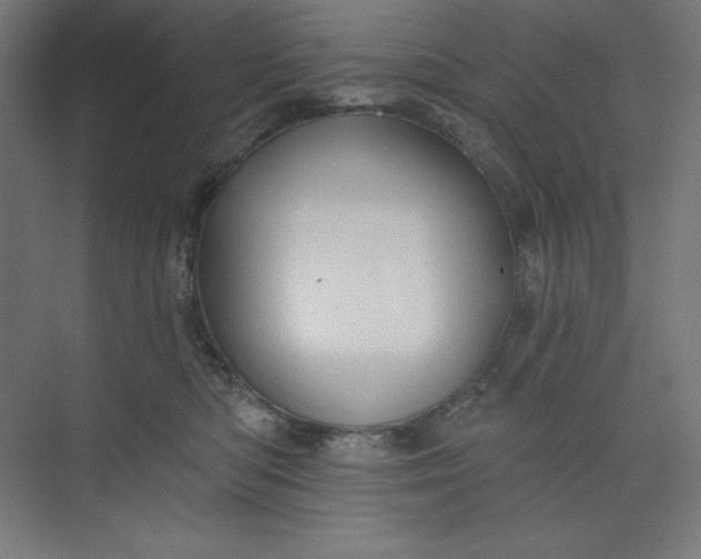 X0000073990422200609061002