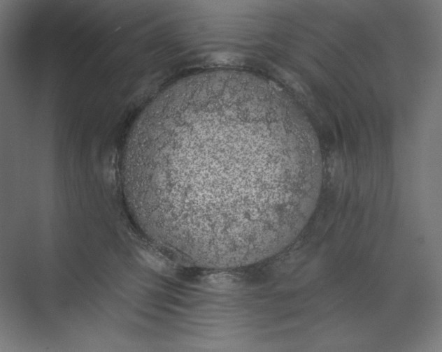 X0000073990423200609061002